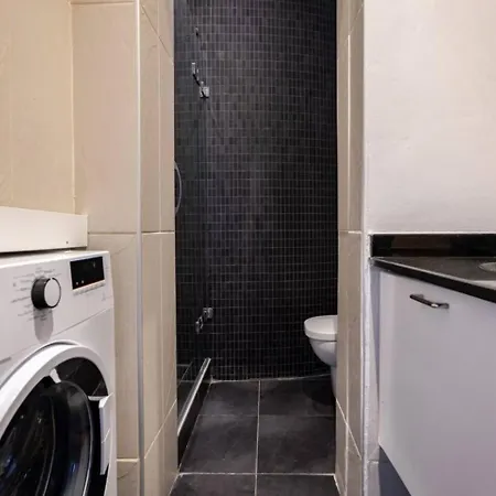 Authentic Galata Tower 2bd2bath #411 Daire