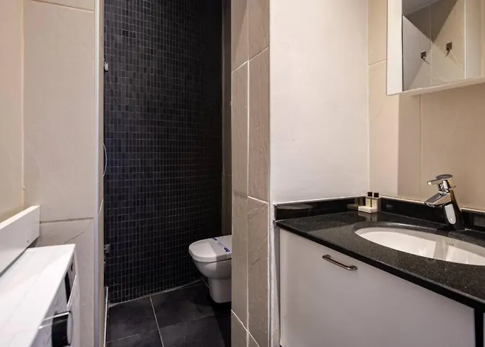 Authentic Galata Tower 2bd2bath #411 Daire